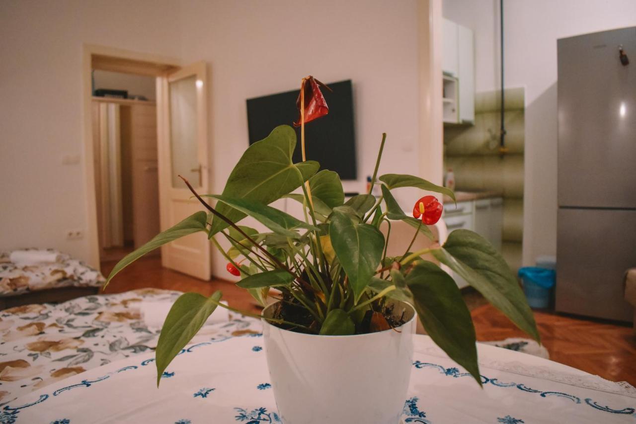 סראייבו Nina Apartment מראה חיצוני תמונה